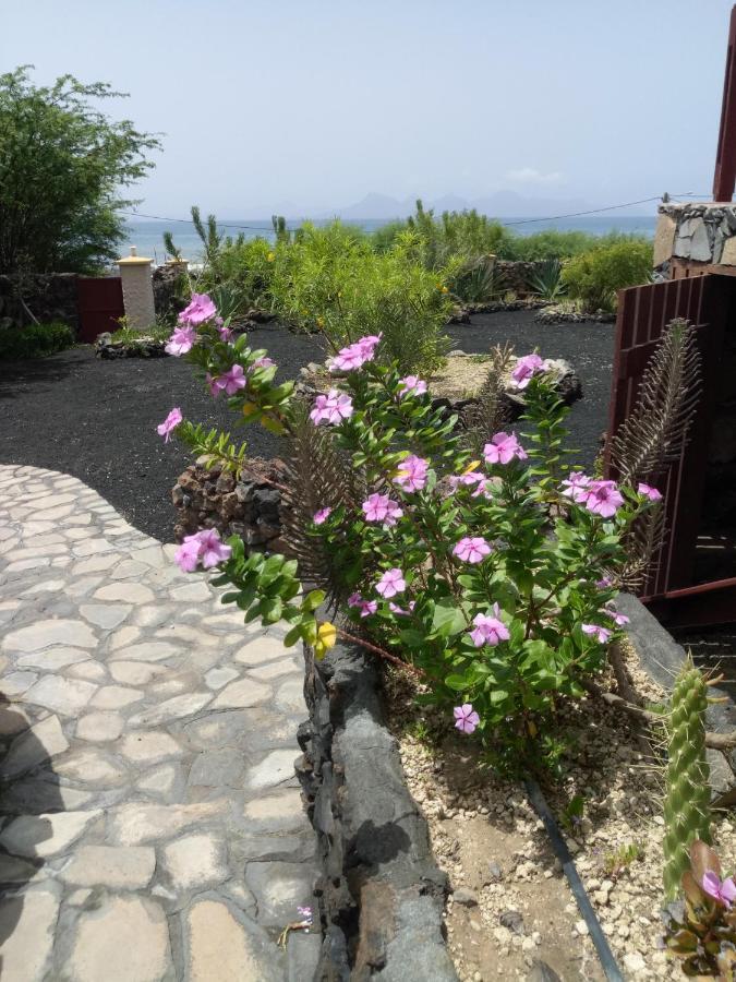 Coin De Paradis,Pavillon Doucimar Porto Novo المظهر الخارجي الصورة